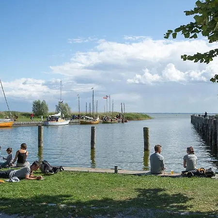 Graukranich 41 Fuhlendorf (Mecklenburg-Vorpommern)